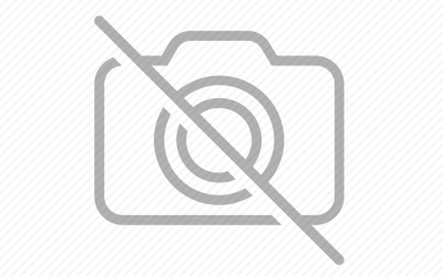 Gold Sırt Çanta Modelleri